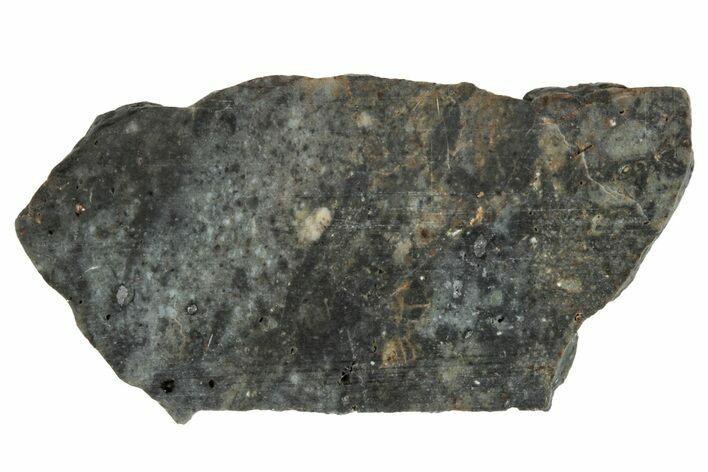 Lunar Meteorite ( g) Slice - Laayoune #291649